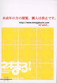 (CR37) [Studio Kimigabuchi (Kimimaru)] Negimaru! 3 (Mahou Sensei Negima!) [English] [SaHa]