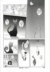 [Dowman Sayman] VIDE