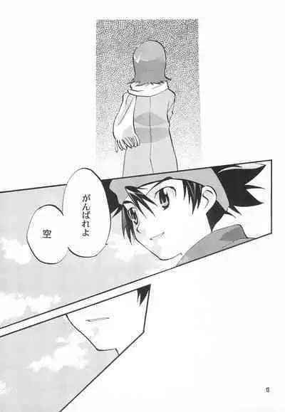 Utsukushiki Samazama no Yume