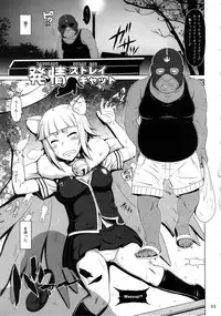 (COMIC1☆8) [Hakueki Shobou (A-teru Haito)] Hatsujou Stray Cat (Witch Craft Works)