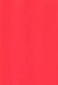 (C94) [Takeritake Daishuukakusai (Echigoya Takeru)] Ore no Douki ga Onna datta Rashii (Hunter x Hunter) [Chinese] [沒有漢化]