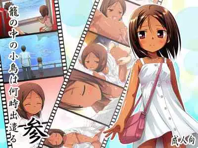 [Noraneko-no-Tama (Yukino Minato)] Kago no Naka no Kotori wa Itsu Deyaru San Sousaishikiban [chinese] [Digital] [在家一天没穿衣服的猫猫个猫汉化]