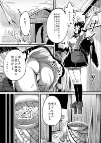 [Chimuya (Akihiro)] Bitching☆Bunbunmaru (Touhou Project) [Digital]