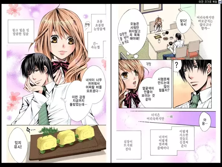 Naisho no Love Mariage | 비밀의 결혼