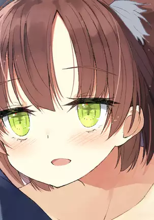 Ore no Kanojo ni wa Nekomimi ga Haeteiru