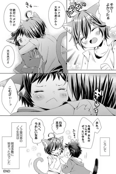 Rushichiland Tanpenshuu