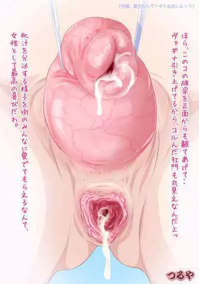 INSIDES - Onnanoko no Nakami Marumie Mook