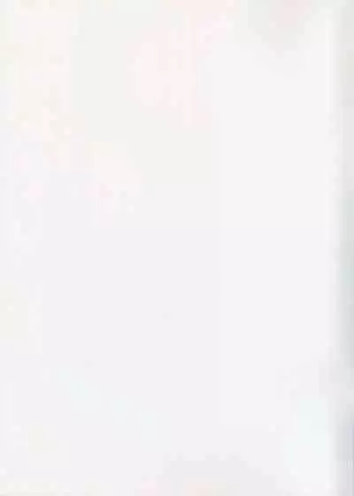 (C96) [Wasanbon (wa)] WASANBON Vol. 14 (Kantai Collection -KanColle-)