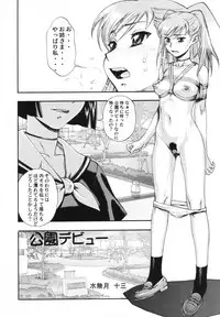 [Shuudan Bouryoku (集団暴力)] HOOLIGANISM File/10 RECORD OF ALDELAYD ExhibitionDX2