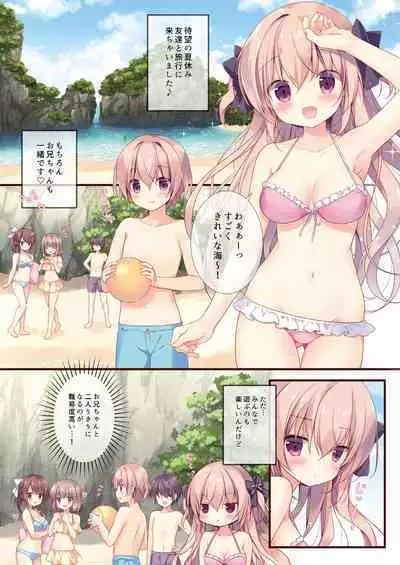 Boku wa Imouto ni Katenai. Soushuuhen