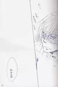 [Devil May Cry] Fragment (VergilxDante)