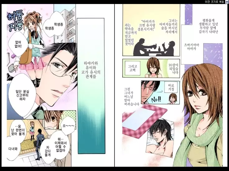 Naisho no Love Mariage | 비밀의 결혼