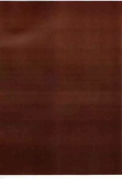 Futanari Jumpkko Rakugaki Chou