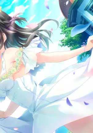 9 -Nine- New Episode