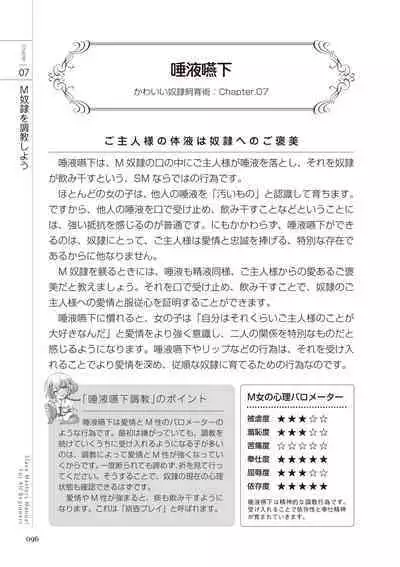 Zero kara Hajimeru SM Manual Kawaii Dorei Shiikujutsu