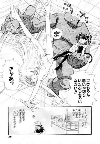 [Hikaru Nagareboshi] Seigi No Mikata Mo Raku Zya Nai