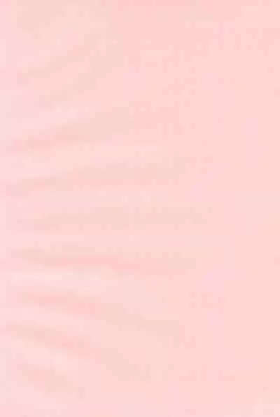 Nurunuru Shokushu Making