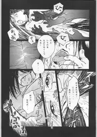 (C45) [Uroboros (Various)] Paraselene (Bishoujo Senshi Sailor Moon)