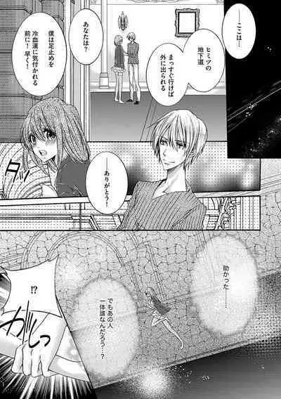 鬼畜兄弟の悶絶調教～私はいいなり奴隷～