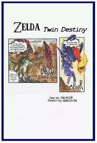 Zelda Twin Destiny (passage) ENGLISH