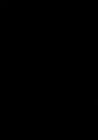 (C86) [Type-G, Studio Himawari (Himukai Kyousuke, Ishigaki Takashi)] UNISON [Lyrical ☆ Nanoha Goudoushi] (Mahou Shoujo Lyrical Nanoha) [Chinese] [无毒汉化组 ＆ 脸肿汉化组]