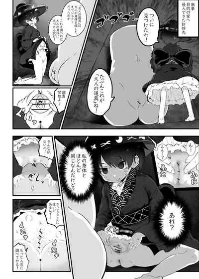 Shinmyoumaru ga Onaho ni Machigawareru Hon