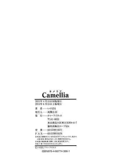 Camellia