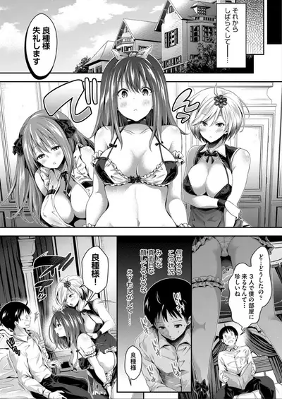 Harem Maid No Damedame Ecchi