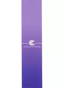 (C88) [S.S.L (Yanagi)] Rider-san to Onsen Yado. Sonogo (Fate/stay night) [Chinese] [脸肿汉化组]