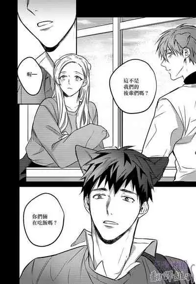 巴夫洛夫的大貓貓 01-14