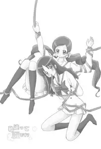 (C78) [Kurukurumaru (Kurumaru)] Watashi Tachitte H Desu? (HeartCatch PreCure!)