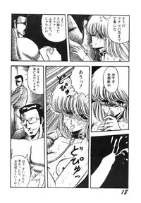 (C36) [LUNA INDUSTRIA (Horikawa Gorou)] Injokurei -Fujin Keikan Menyou Hon "Han-Kan-Rin" Bessatsu-