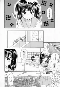 [Usami Wataru] Maple Fool Days