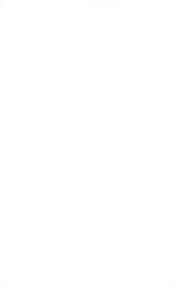 (SC36) [FakeTale (Kunon)] FORTISSIMO (Mahou Shoujo Lyrical Nanoha)