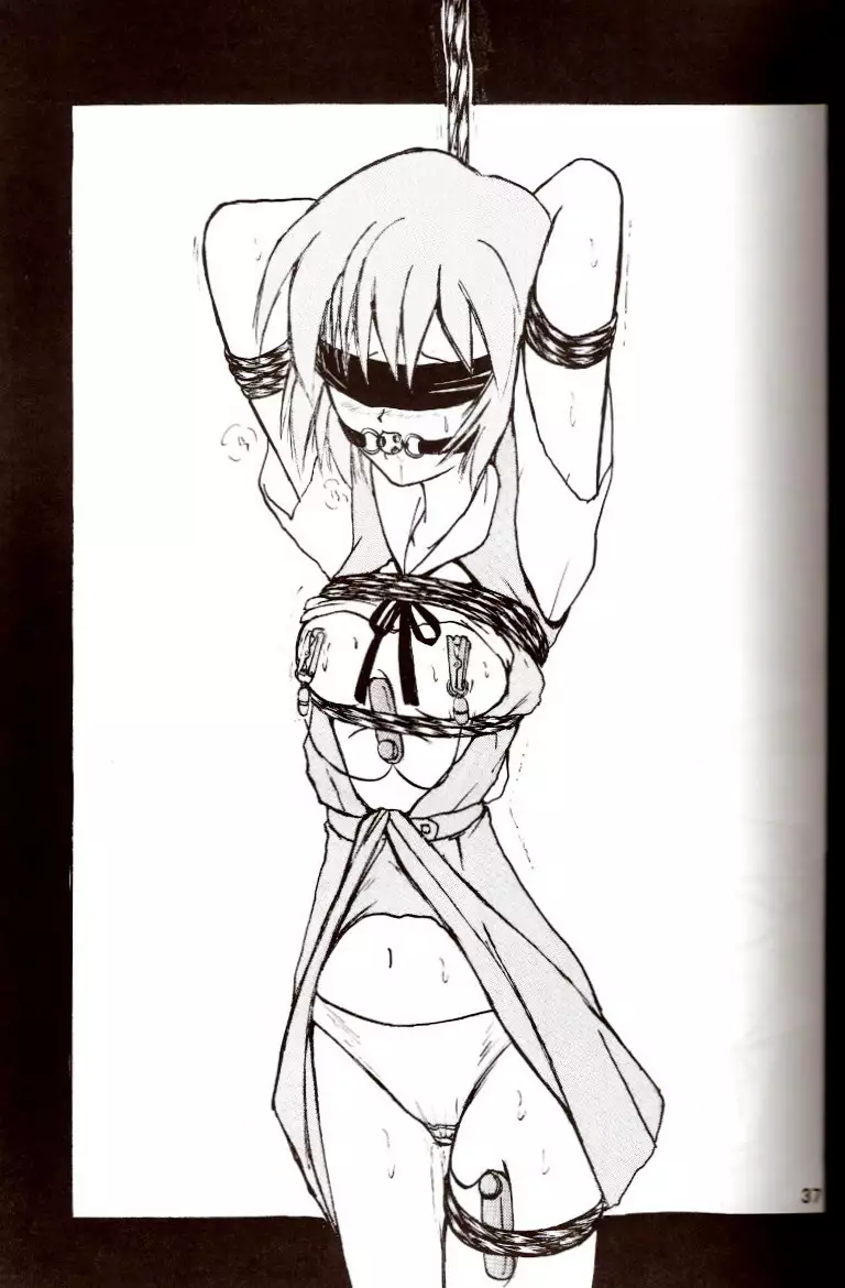 Second Hobaku Project 02