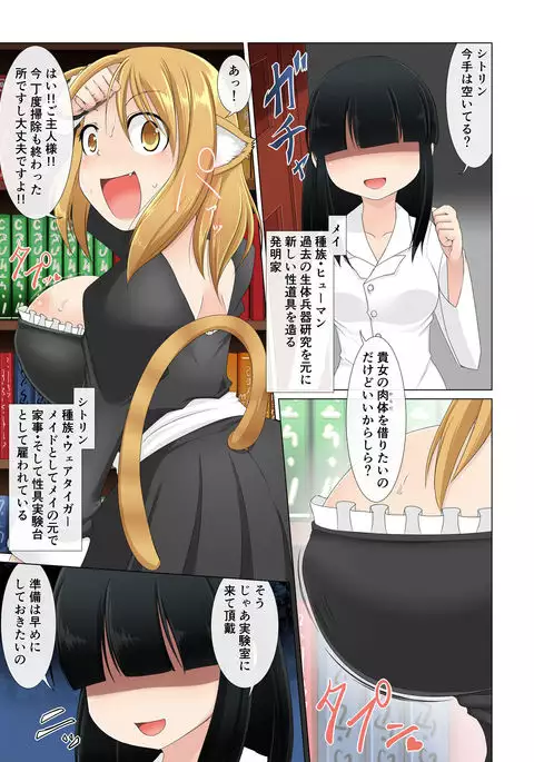 Injuu meido shitorin aitemu II - enkaku sex