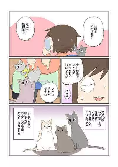 COMIC Ananga Ranga Vol. 91