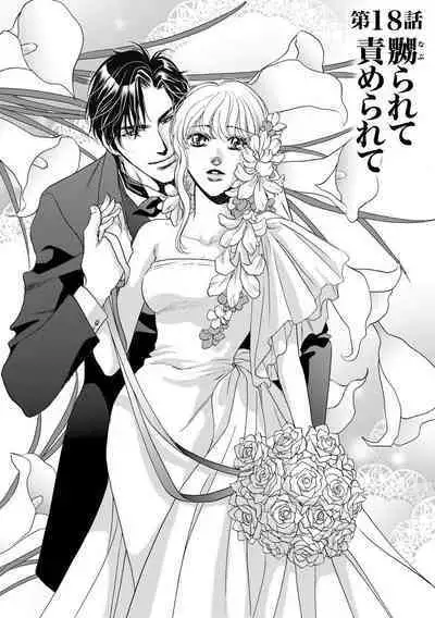 [Omi Shinano] Imouto Mekake ~Onii-sama, Mou Yurushite~ 3 [Digital]