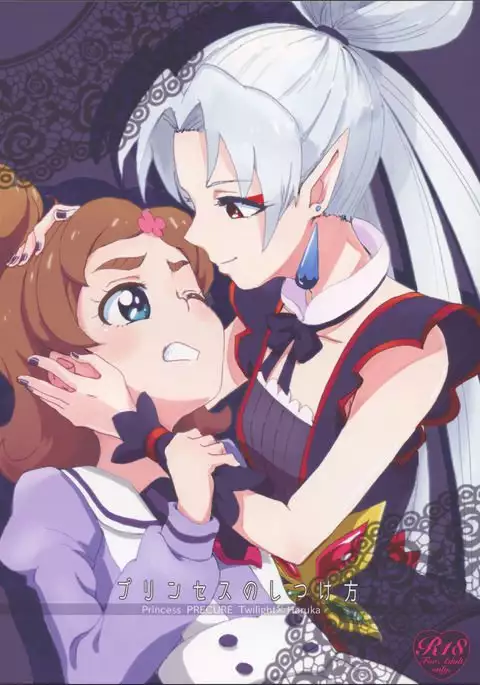 Princess no Shitsukekata