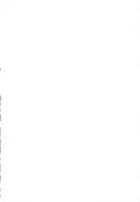 (COMIC1☆2) [Studio Wallaby (Shizaki Masayuki)] Ecchii no wa Suki Desu ka? (To LOVE-Ru)