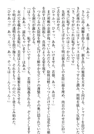 年上メイドの新婚日記
