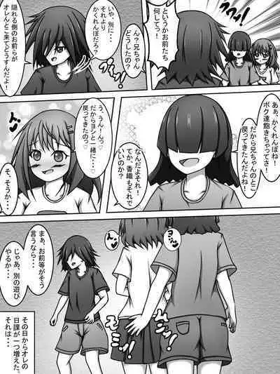 Brother! You can take a peek! Summary book | Niichan! nozoitete iiyo! matome hon