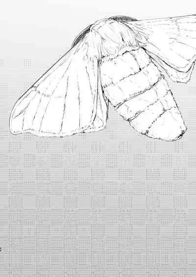 Shiragasane Soushuuhen