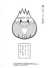 (C81) [Peach Fox (Kira Hiroyoshi)] Chun-Ketsu (Street Fighter) [English] {doujin-moe.us}