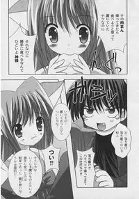 [ShikigamiAzuma]God Chome cat