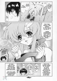 (C66) [GUST (Harukaze Soyogu)] Sternness 3 (Mobile Suit Gundam SEED) [English] [SaHa]