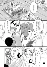 (SC35) [True-Bell (Nekono Lonmiy)] Wild Cat (Final Fantasy XI)