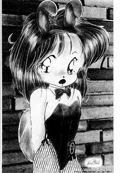 Burney’s Bunny Shop Shinsoukaiten!