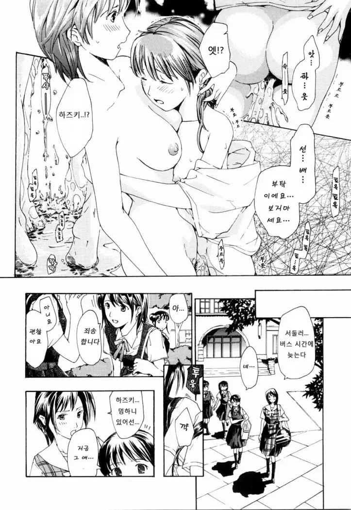 Shoujo Seiiki - Girl's Sanctuary