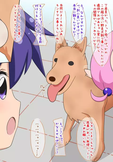 Dog F*ck Sensaaaation!